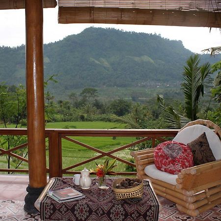 Hotel Bebek Biru Sidemen  Exterior foto